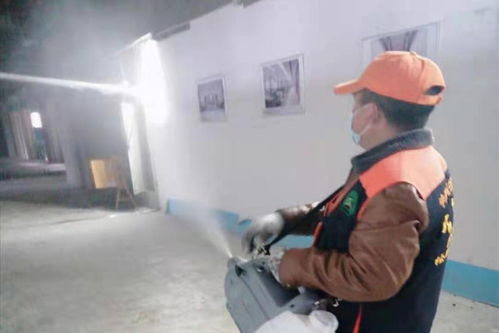 贵阳白蚁防治专业公司电脑图文设计制作指南