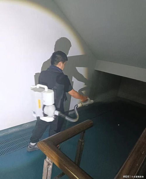 专业白蚁防治与图文设计 杭州白蚁防治消杀中心服务指南